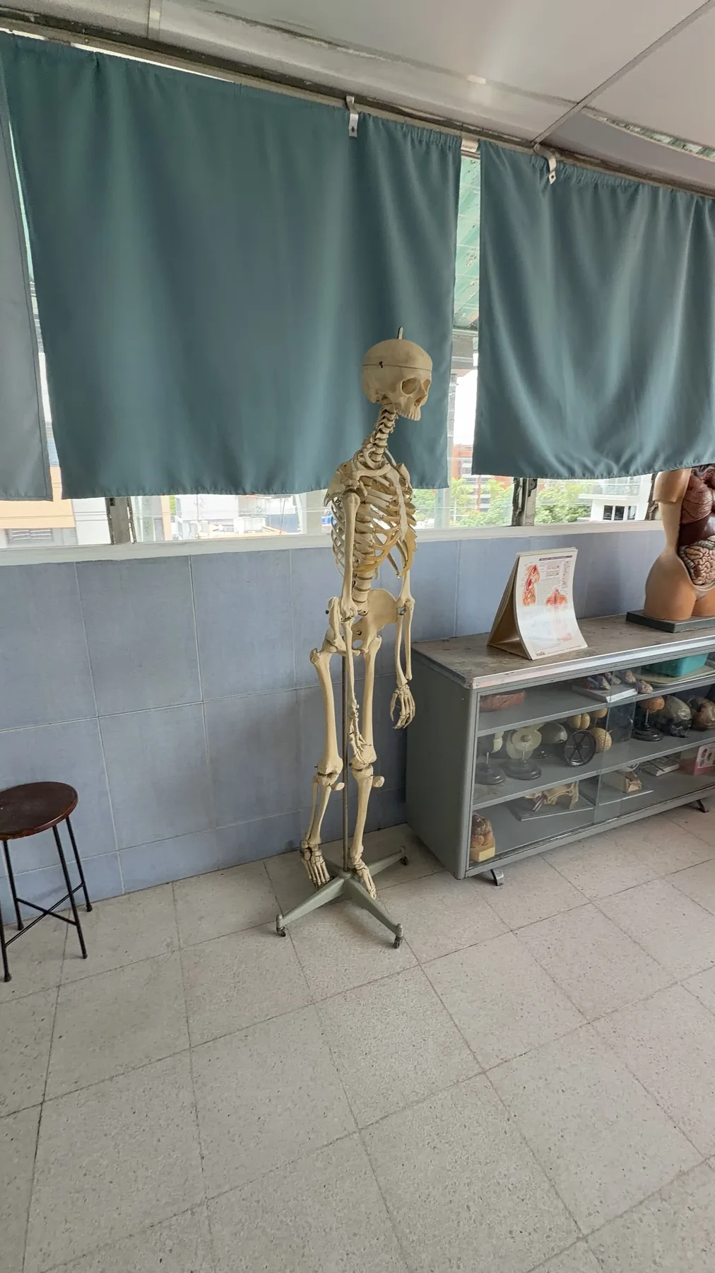 Material educativo en el laboratorio de ciencias